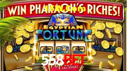 Estatísticas do Jogo 558Bet